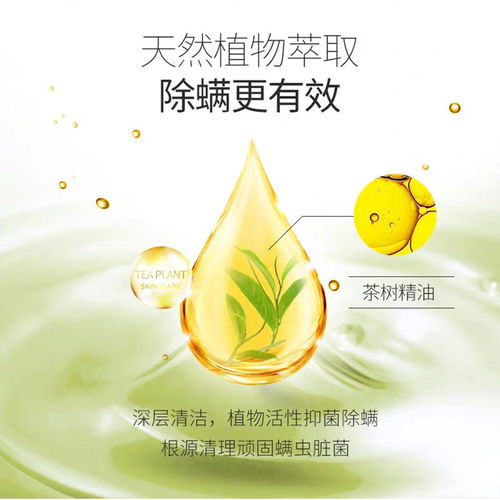 朵拉朵尚小綠皂 植物精華去除螨蟲，守護肌膚清爽無痘
